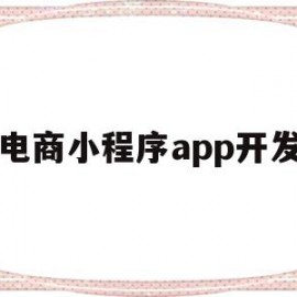 电商小程序app开发(开发一个电商小程序大约需要多少钱)