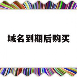 域名到期后购买(别人的域名到期后可以抢注吗)