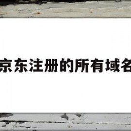 京东注册的所有域名(京东的域名网名是什么?)