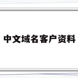 中文域名客户资料(中文域名客户资料是什么)
