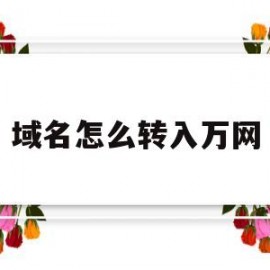 域名怎么转入万网(域名怎么转入万网ip)