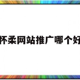 怀柔网站推广哪个好(哪个公司做网站推广最好)