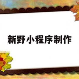 新野小程序制作(小程序制作教程零基础)
