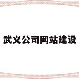 武义公司网站建设的简单介绍
