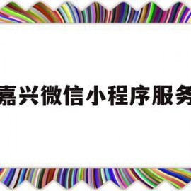 嘉兴微信小程序服务(嘉兴健康码小程序)