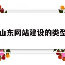 山东网站建设的类型(网站建设类型有哪些)