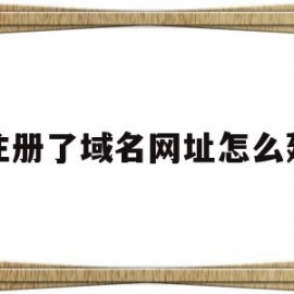 注册了域名网址怎么建(域名注册好了怎么弄网站)