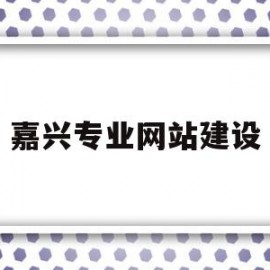 嘉兴专业网站建设(嘉兴网站建设技术支持)