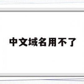 中文域名用不了(中文域名用不了怎么办)