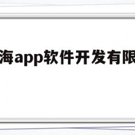 上海app软件开发有限公司(上海app软件开发有限公司招聘)