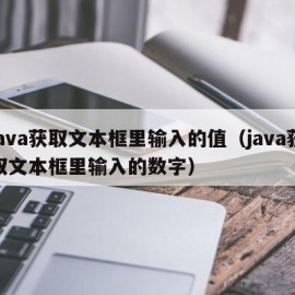 java获取文本框里输入的值（java获取文本框里输入的数字）