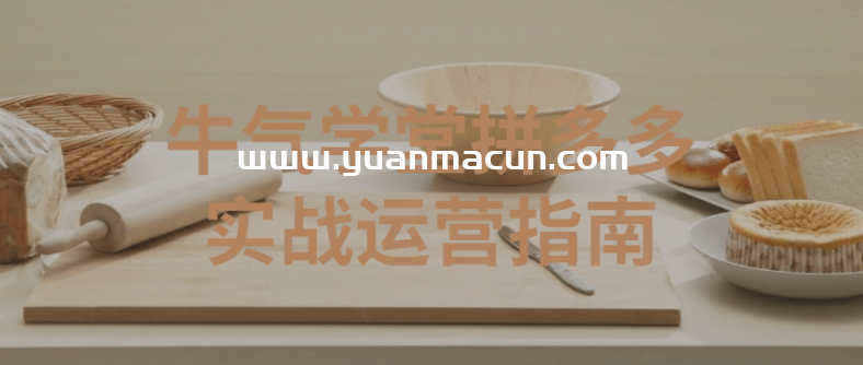 牛气学堂拼多多实战运营指南,第1张 牛气学堂拼多多实战运营指南,第1张