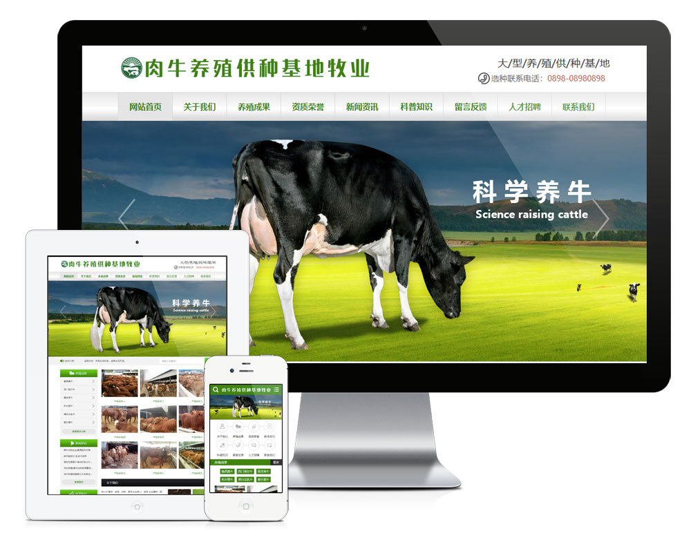 肉牛养殖供应基地网站模板,第1张