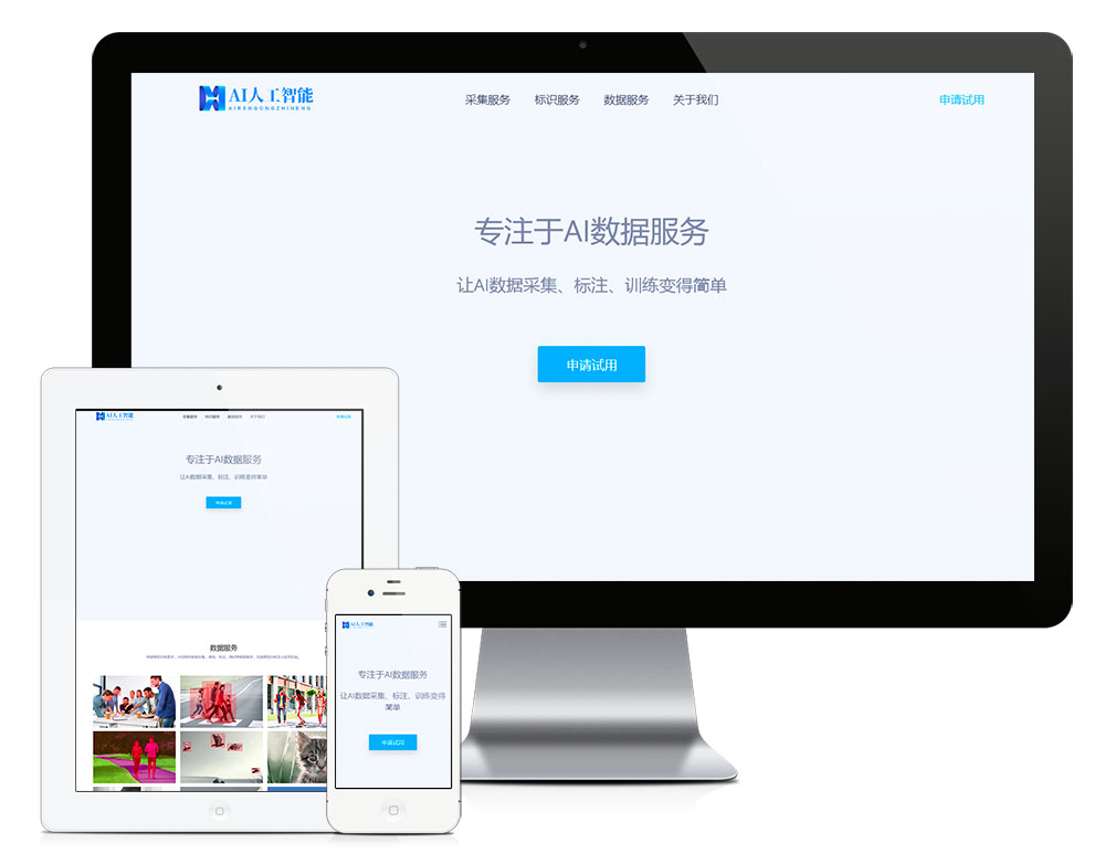 响应式AI数据服务采集网站模板,第1张