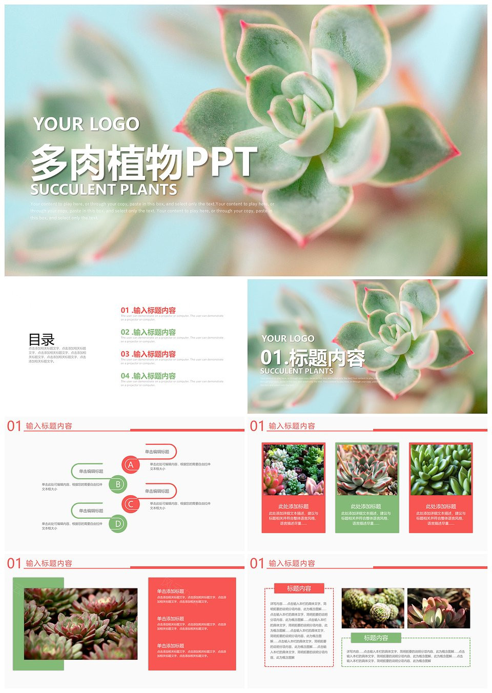 唯美清新多肉植物种植培训教育PPT模板下载,唯美清新多肉植物种植培训教育PPT模板,模板下载,第1张