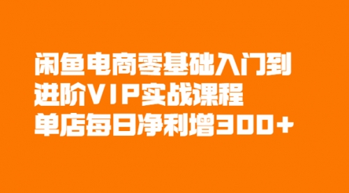 闲鱼电商零基础入门到进阶VIP实战课程，单店每日净利增300+,赚钱,账号,投资,第1张