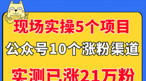 现场实操5个公众号项目，10个涨粉渠道，实测已涨21万粉！,第1张