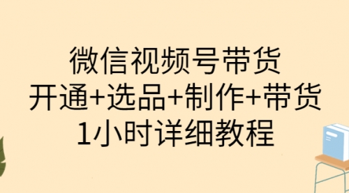 陈奶爸·微信视频号带货：开通+选品+制作+带货（1小时详细教程）,视频,微信,微信视频,第1张