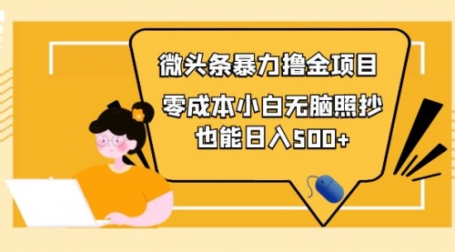 人人都能操作的微头条最新暴力撸金项目，零成本小白无脑搬运也能日入500+,账号,第1张