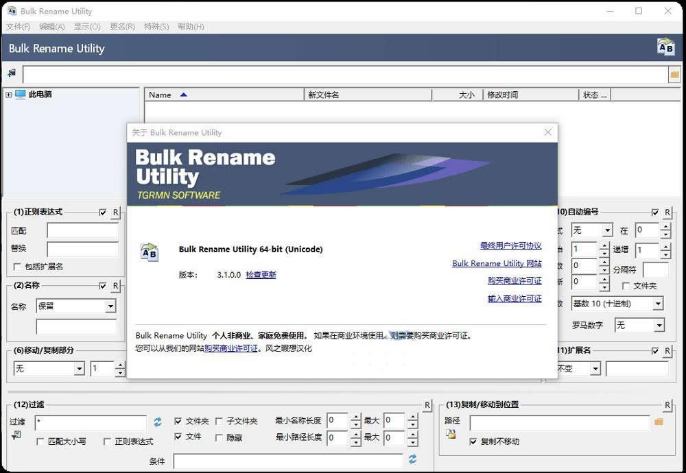 Bulk Rename Utility 文件重命名工具 v3.1汉化 绿色版