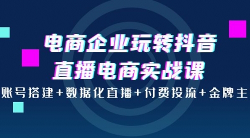 电商企业玩转抖音直播电商实战课：账号搭建+数据化直播+付费投流+金牌主播,视频,账号,电商系统,第1张