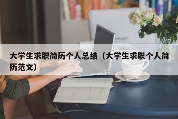 大学生求职简历个人总结（大学生求职个人简历范文）