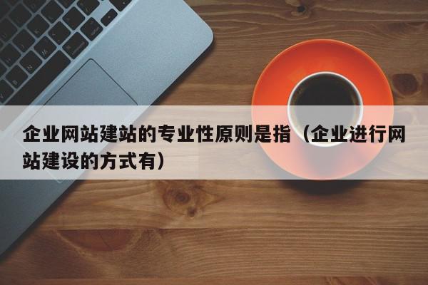 企业网站建站的专业性原则是指（企业进行网站建设的方式有）