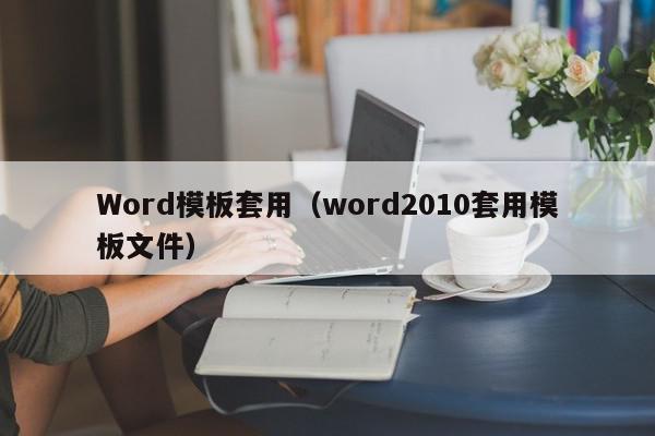 Word模板套用（word2010套用模板文件）