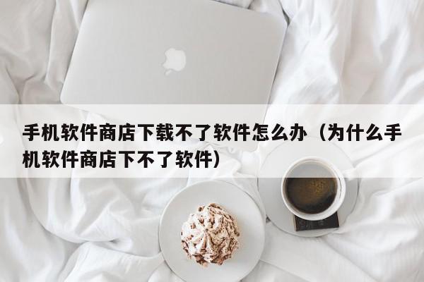 手机软件商店下载不了软件怎么办（为什么手机软件商店下不了软件）