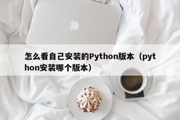怎么看自己安装的Python版本（python安装哪个版本）,怎么看自己安装的Python版本,信息,文章,第1张