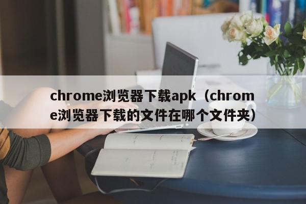chrome浏览器下载apk（chrome浏览器下载的文件在哪个文件夹）