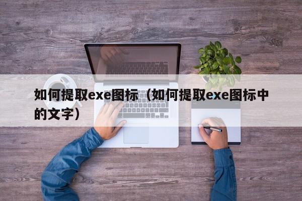 如何提取exe图标（如何提取exe图标中的文字）