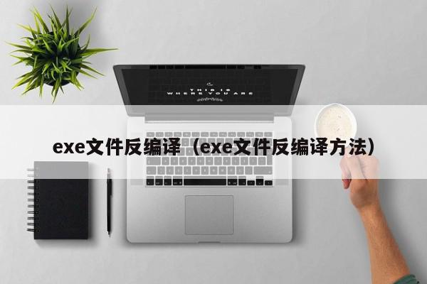 exe文件反编译（exe文件反编译方法）