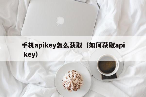 手机apikey怎么获取(如何获取api key),手机apikey怎么获取,信息,文章,账号,第1张 手机apikey怎么获取(如何获取api key),手机apikey怎么获取,信息,文章,账号,第1张