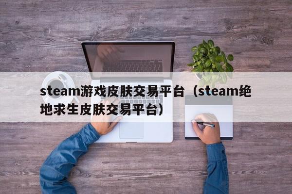 steam游戏皮肤交易平台（steam绝地求生皮肤交易平台）