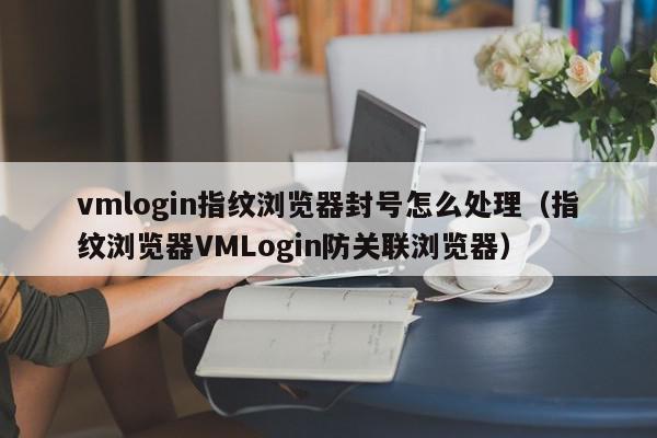 vmlogin指纹浏览器封号怎么处理（指纹浏览器VMLogin防关联浏览器）,vmlogin指纹浏览器封号怎么处理,信息,文章,账号,第1张