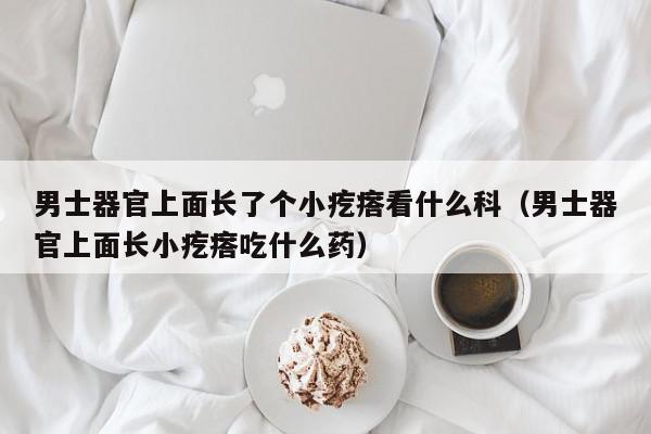 男士器官上面长了个小疙瘩看什么科（男士器官上面长小疙瘩吃什么药）,男士器官上面长了个小疙瘩看什么科,信息,文章,科技,第1张