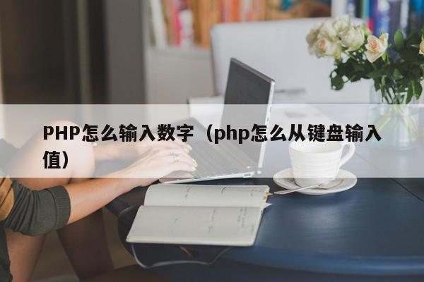 PHP怎么输入数字（php怎么从键盘输入值）