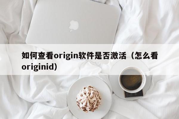 如何查看origin软件是否激活（怎么看originid）