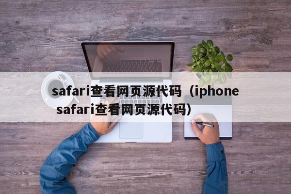 safari查看网页源代码（iphone safari查看网页源代码）