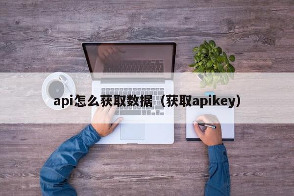 api怎么获取数据（获取apikey）