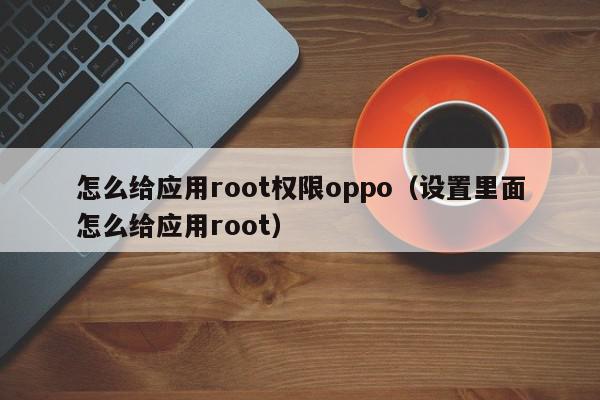 怎么给应用root权限oppo（设置里面怎么给应用root）