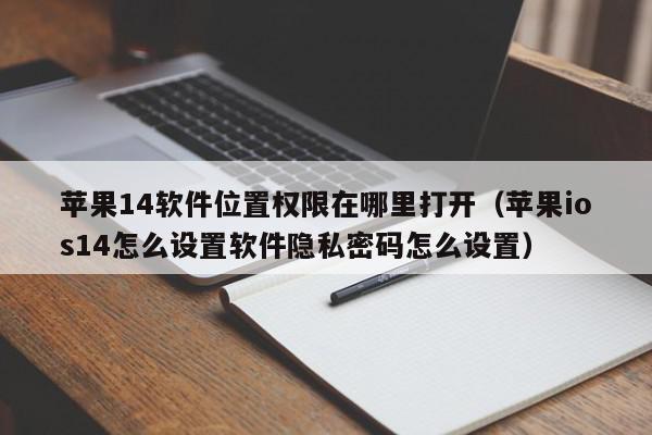 苹果14软件位置权限在哪里打开（苹果ios14怎么设置软件隐私密码怎么设置）