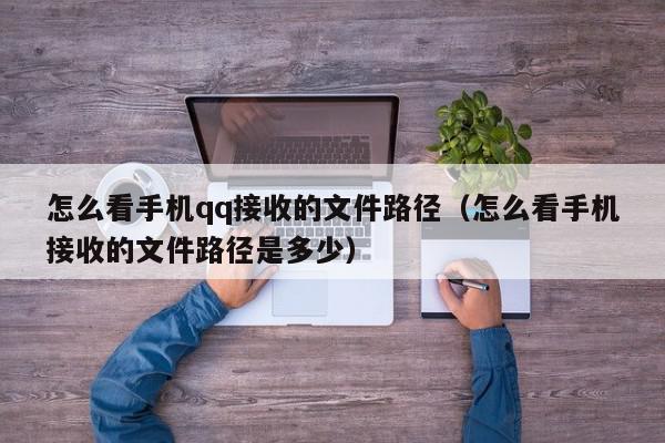 怎么看手机qq接收的文件路径（怎么看手机接收的文件路径是多少）