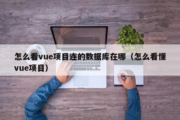 怎么看vue项目连的数据库在哪（怎么看懂vue项目）,怎么看vue项目连的数据库在哪,信息,文章,第1张