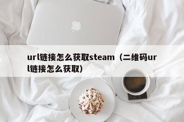 url链接怎么获取steam（二维码url链接怎么获取）,url链接怎么获取steam,信息,文章,二维码,第1张