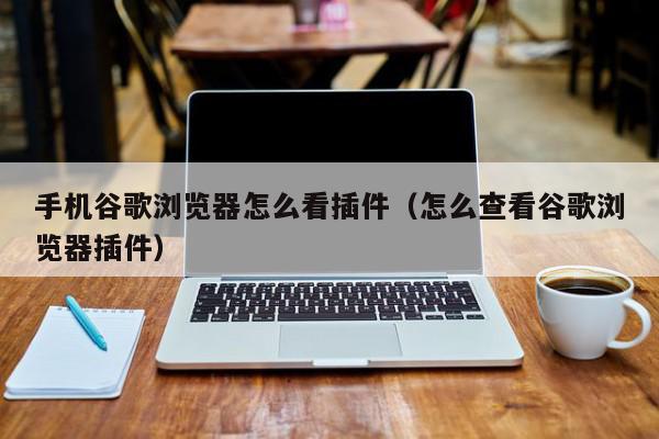 手机谷歌浏览器怎么看插件（怎么查看谷歌浏览器插件）,手机谷歌浏览器怎么看插件,信息,文章,第1张