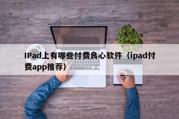 IPad上有哪些付费良心软件（ipad付费app推荐）