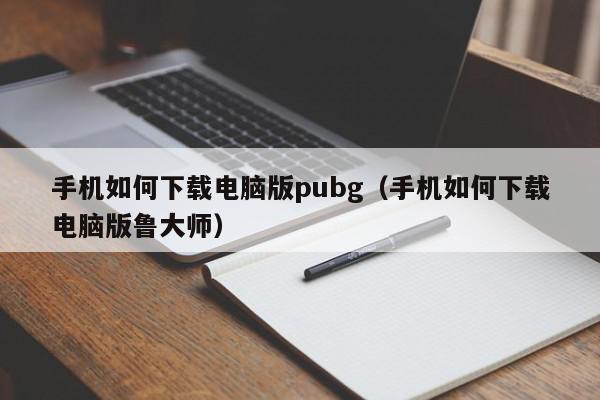 手机如何下载电脑版pubg（手机如何下载电脑版鲁大师）