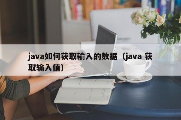 java如何获取输入的数据（java 获取输入值）